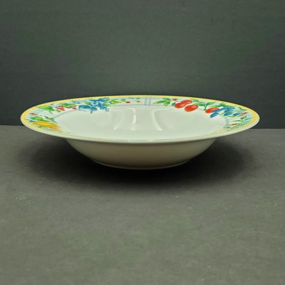 Retroneu Everyday Terrace Rim Soup Pasta Bowls Fruit Pears Berries Cherries - Picture 4 of 7